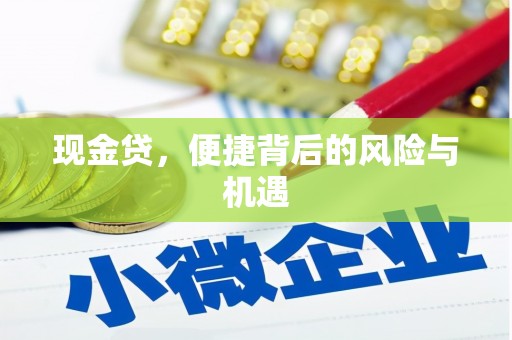 三门峡现金贷，便捷背后的风险与机遇