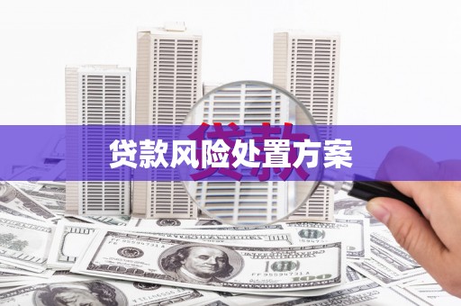 三门峡贷款风险处置方案