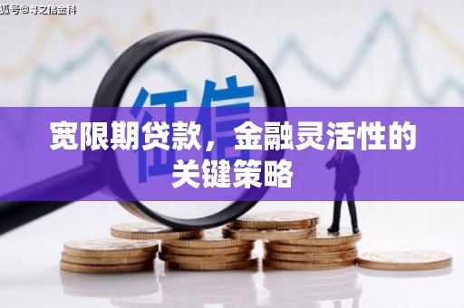 三门峡宽限期贷款，金融灵活性的关键策略