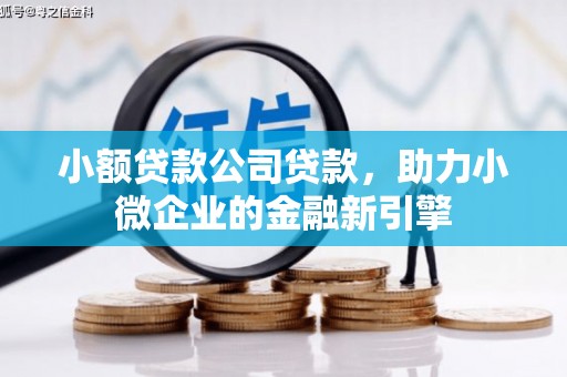 三门峡小额贷款公司贷款，助力小微企业的金融新引擎