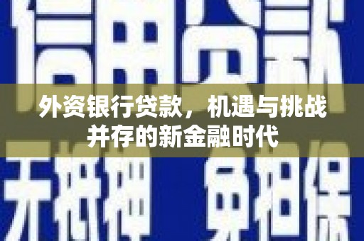 三门峡外资银行贷款，机遇与挑战并存的新金融时代