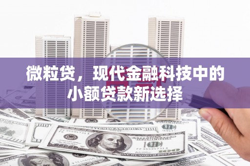 三门峡微粒贷，现代金融科技中的小额贷款新选择