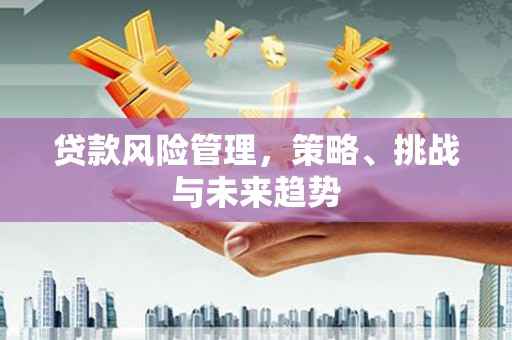 三门峡贷款风险管理，策略、挑战与未来趋势