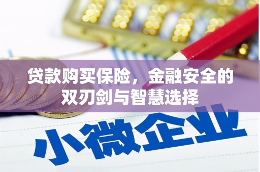 三门峡贷款购买保险，金融安全的双刃剑与智慧选择