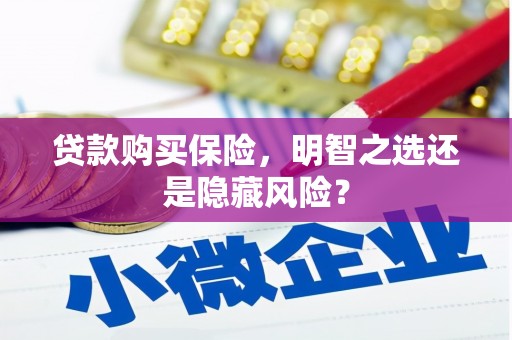 三门峡贷款购买保险，明智之选还是隐藏风险？