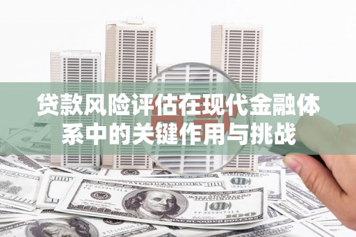 三门峡贷款风险评估在现代金融体系中的关键作用与挑战