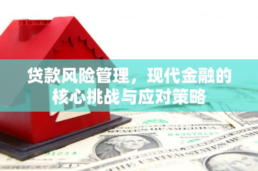 三门峡贷款风险管理，现代金融的核心挑战与应对策略