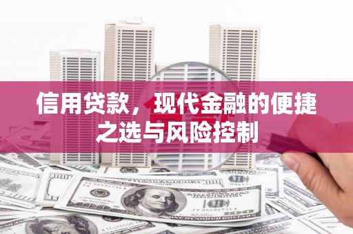 三门峡信用贷款，现代金融的便捷之选与风险控制