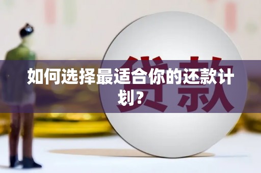 三门峡如何选择最适合你的还款计划？