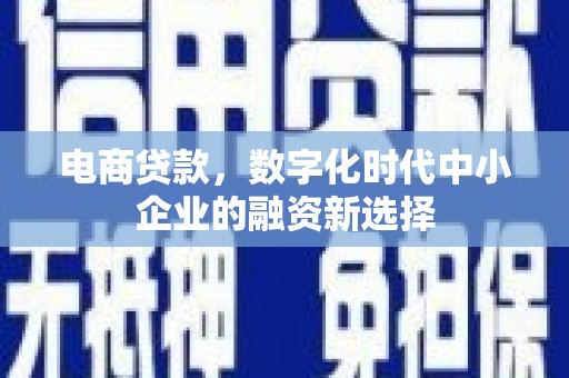 三门峡电商贷款，数字化时代中小企业的融资新选择