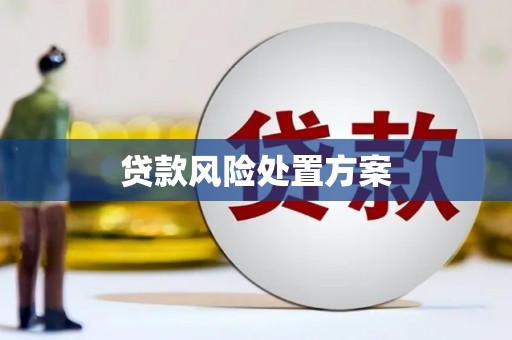 三门峡贷款风险处置方案