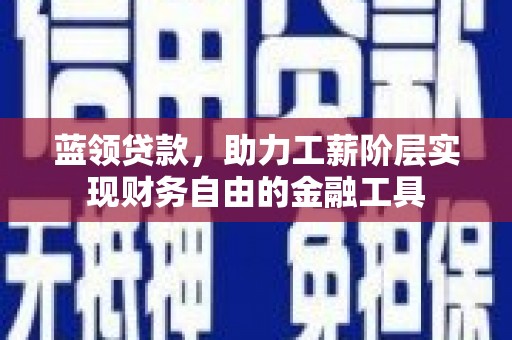 三门峡蓝领贷款，助力工薪阶层实现财务自由的金融工具