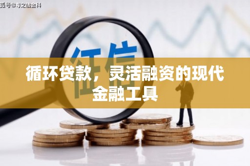 三门峡循环贷款，灵活融资的现代金融工具