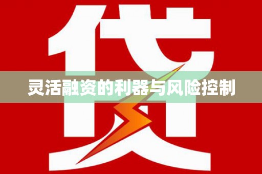 三门峡灵活融资的利器与风险控制