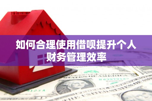 三门峡如何合理使用借呗提升个人财务管理效率
