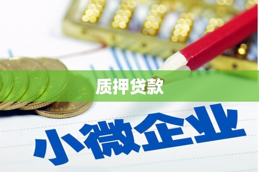 三门峡质押贷款