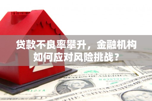 三门峡贷款不良率攀升，金融机构如何应对风险挑战？