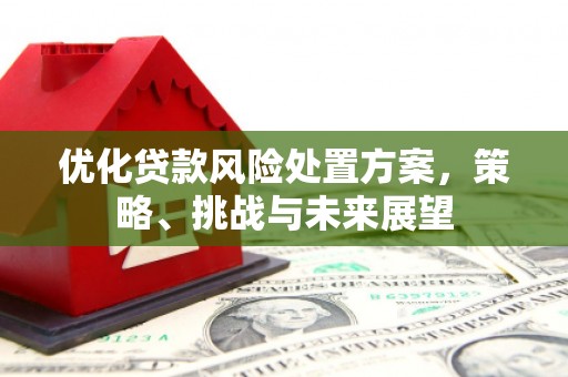 三门峡优化贷款风险处置方案，策略、挑战与未来展望