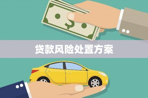 三门峡贷款风险处置方案