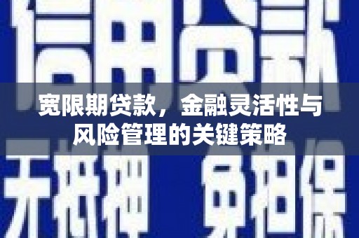 三门峡宽限期贷款，金融灵活性与风险管理的关键策略