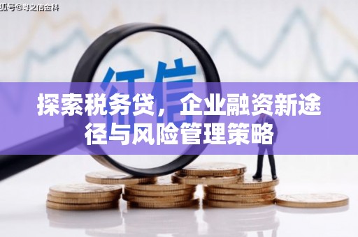 三门峡探索税务贷，企业融资新途径与风险管理策略