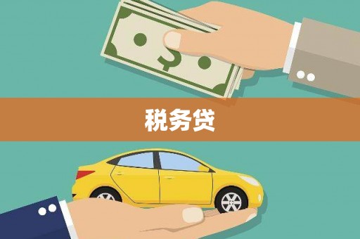 三门峡税务贷