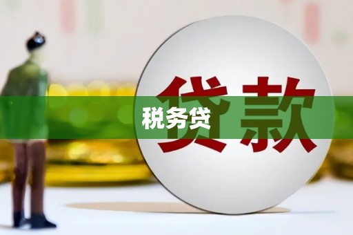 三门峡税务贷