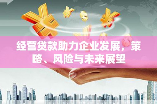 三门峡经营贷款助力企业发展，策略、风险与未来展望