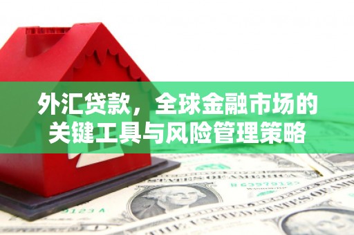三门峡外汇贷款，全球金融市场的关键工具与风险管理策略
