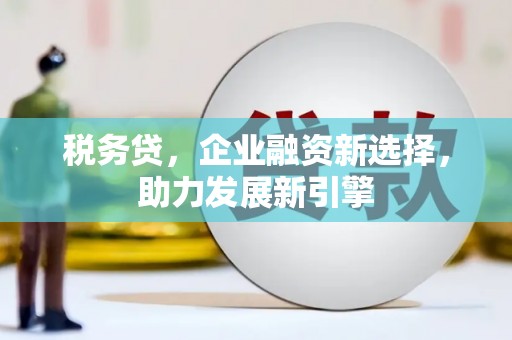 三门峡税务贷，企业融资新选择，助力发展新引擎