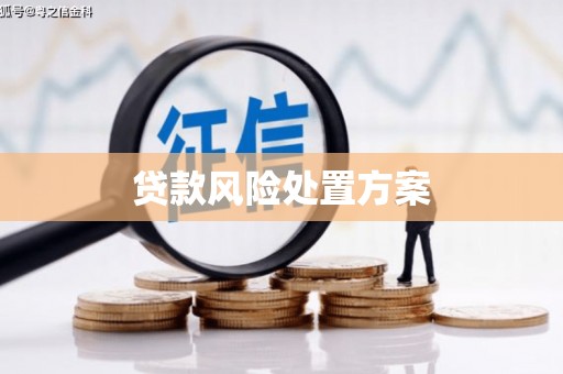 三门峡贷款风险处置方案