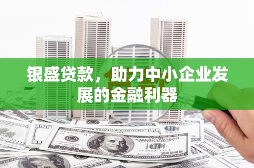 三门峡银盛贷款，助力中小企业发展的金融利器