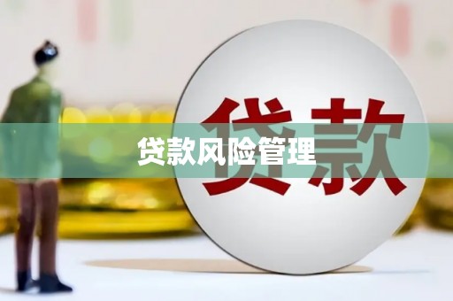 三门峡贷款风险管理