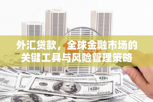 三门峡外汇贷款，全球金融市场的关键工具与风险管理策略