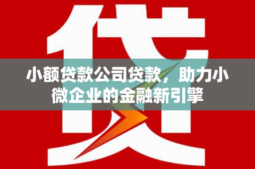 三门峡小额贷款公司贷款，助力小微企业的金融新引擎