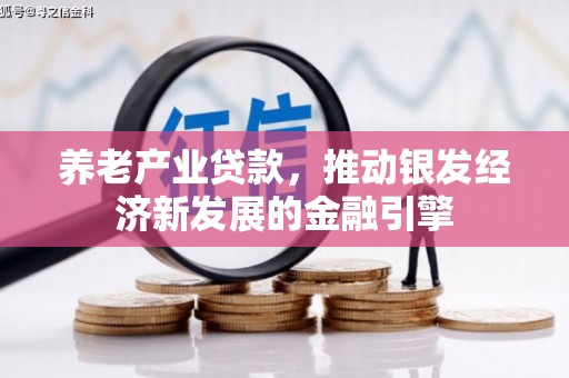 三门峡养老产业贷款，推动银发经济新发展的金融引擎