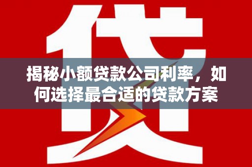 三门峡揭秘小额贷款公司利率，如何选择最合适的贷款方案