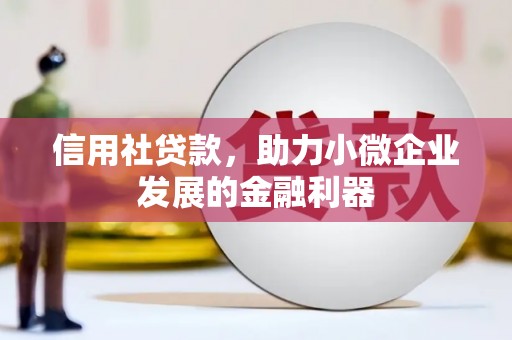 三门峡信用社贷款，助力小微企业发展的金融利器
