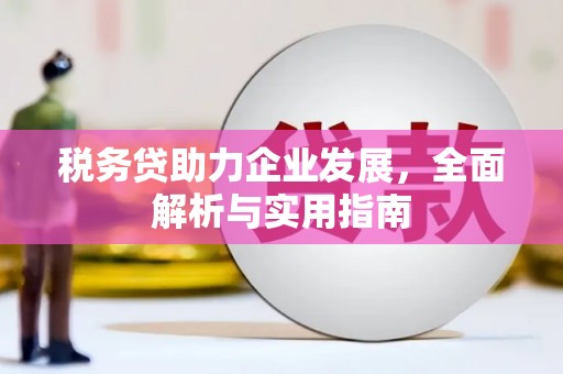 三门峡税务贷助力企业发展，全面解析与实用指南