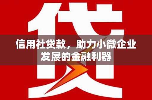 三门峡信用社贷款，助力小微企业发展的金融利器