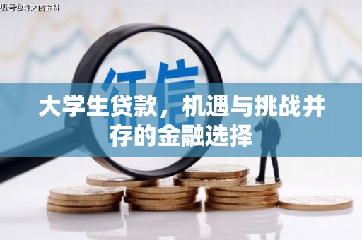 三门峡大学生贷款，机遇与挑战并存的金融选择