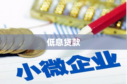 三门峡低息贷款