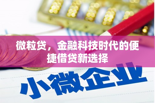 三门峡微粒贷，金融科技时代的便捷借贷新选择