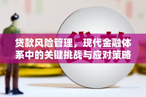 三门峡贷款风险管理，现代金融体系中的关键挑战与应对策略