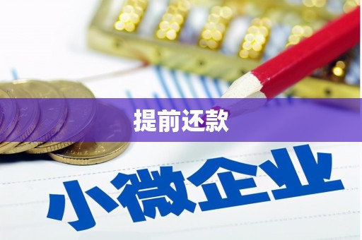 三门峡提前还款