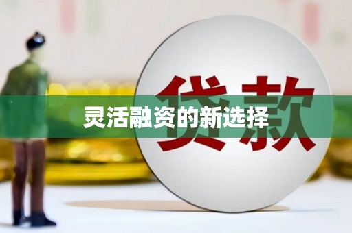 三门峡灵活融资的新选择