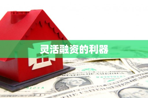 三门峡灵活融资的利器