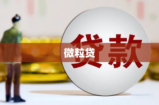 三门峡微粒贷