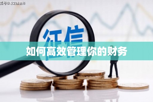 三门峡如何高效管理你的财务