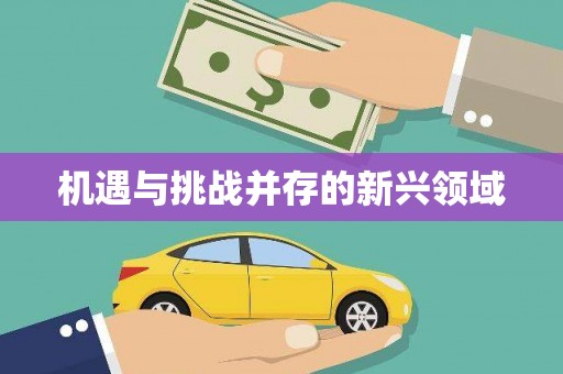 三门峡机遇与挑战并存的新兴领域
